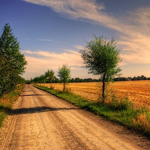 Unibeat - Sunny Road