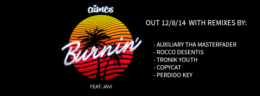 AIMES - Burnin